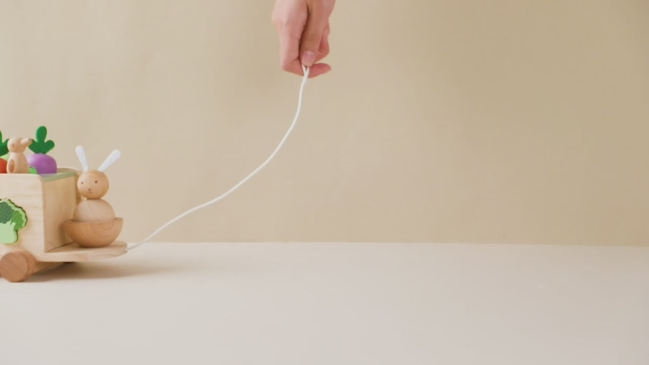 Carica il video: 